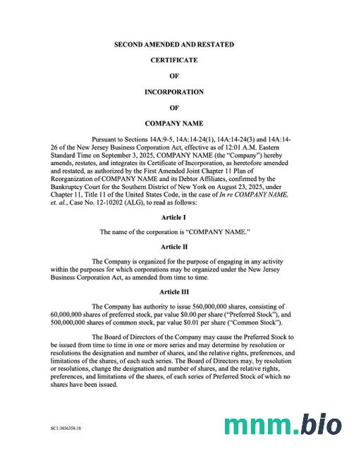 USA New Jersey vcertyfikat of inkorporacja Word i szablon PDF